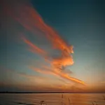 Casa de hóspedes Particulier - Les Du Bassin D'arcachon- Petit-déjeuner Sur Demande- Prestations De Gamme 4*
