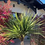 Casa de hóspedes Particulier - Les Du Bassin D'arcachon- Petit-déjeuner Sur Demande- Prestations De Gamme 4*