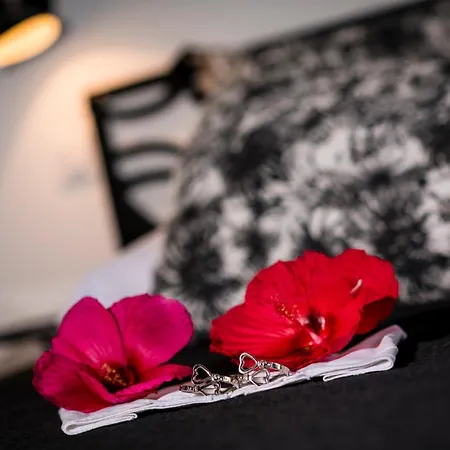 Les Du Bassin D'arcachon: Luxe With Gourmet Breakfast Guest house
