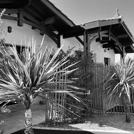 Particulier - Les Du Bassin D'arcachon- Privees De Gamme- Clim-parking Prive 4* Gujan-Mestras