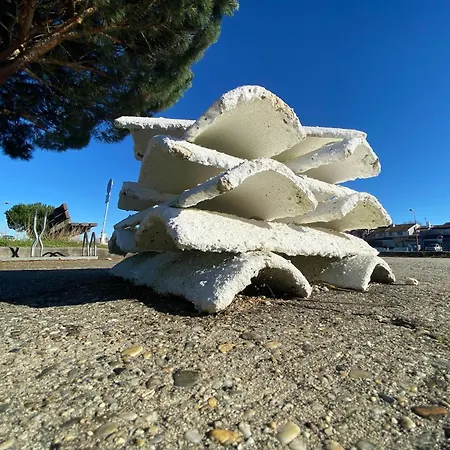 Particulier - Les Du Bassin D'arcachon- Privees De Gamme- Clim-parking Prive Gujan-Mestras