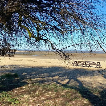 Particulier - Les Du Bassin D'arcachon- Privees De Gamme- Clim-parking Prive 4* Gujan-Mestras