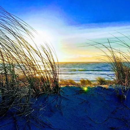 Vendégház Particulier - Les Du Bassin D'arcachon- Privees De Gamme- Clim-parking Prive
