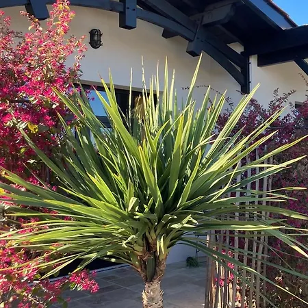 Guest house Les Du Bassin D'arcachon: Luxe With Gourmet Breakfast 4*